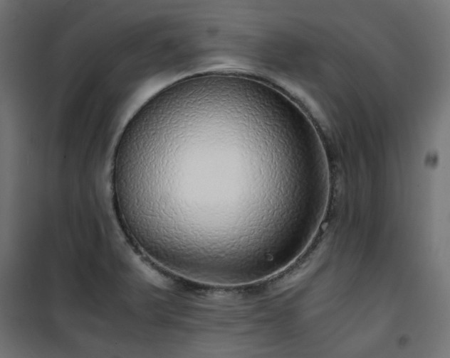 X0000101441375200807141256