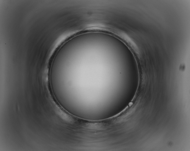 X0000101441376200807141256