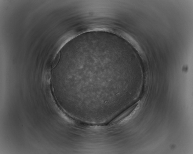 X0000101441377200807141256