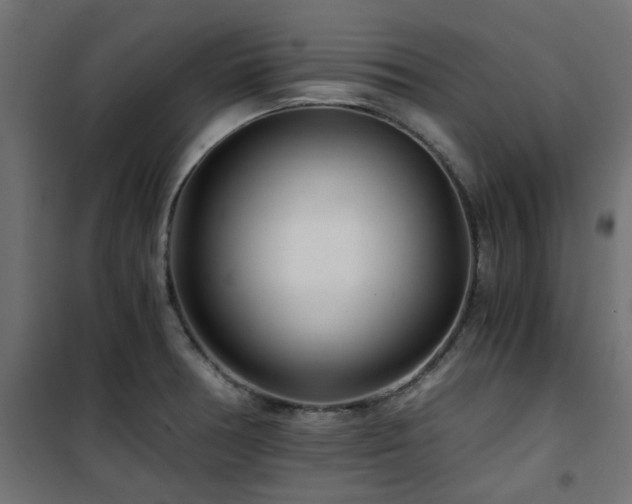 X0000101441378200807141256