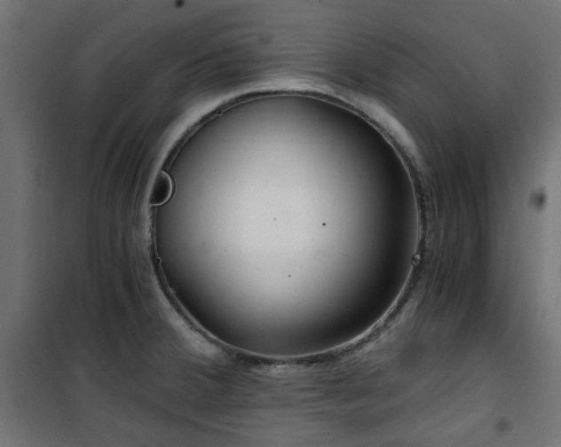 X0000101441380200807141256