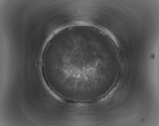 X0000101441381200807141256