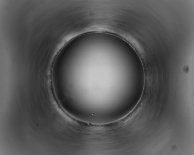 X0000101441382200807141256