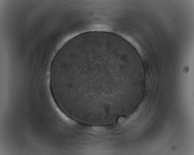 X0000101441383200807141256