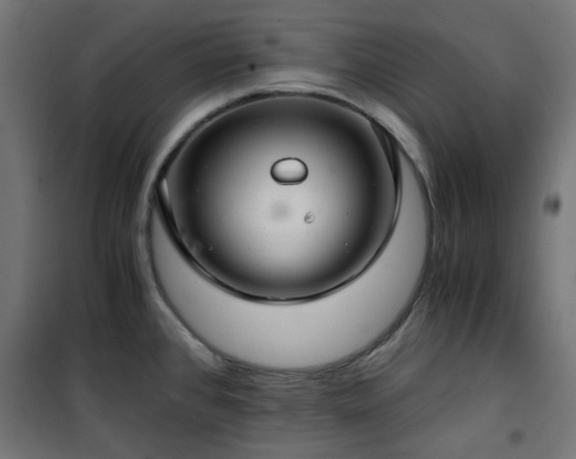 X0000101441384200807141256