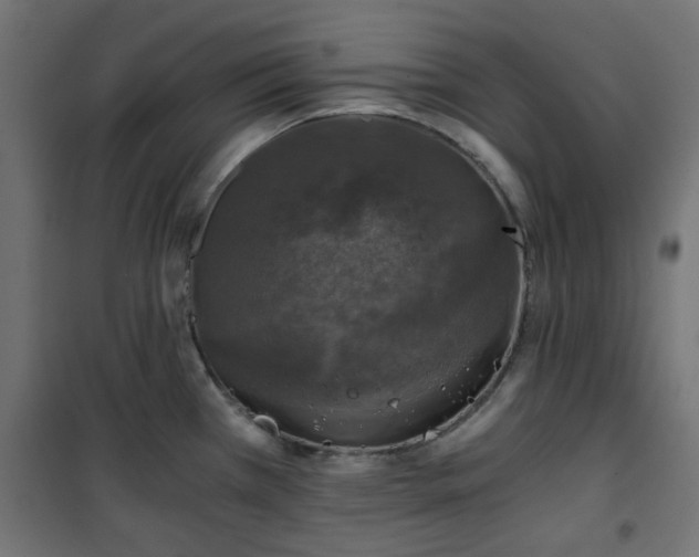 X0000101441385200807141256