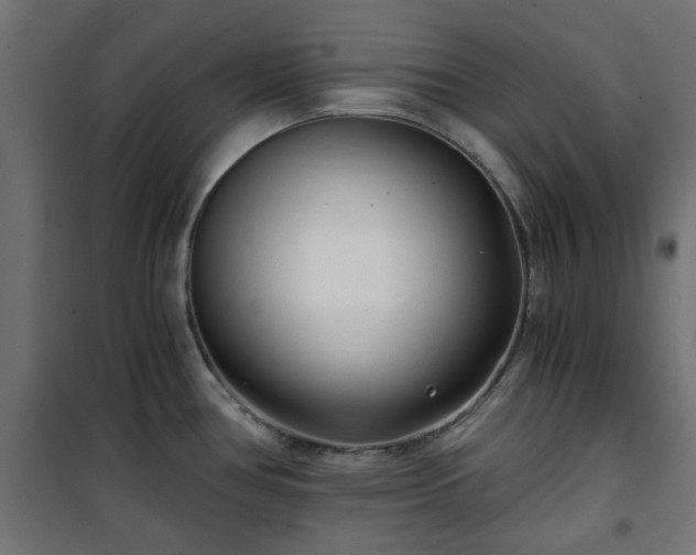 X0000101441386200807141256