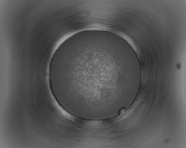 X0000101441387200807141256