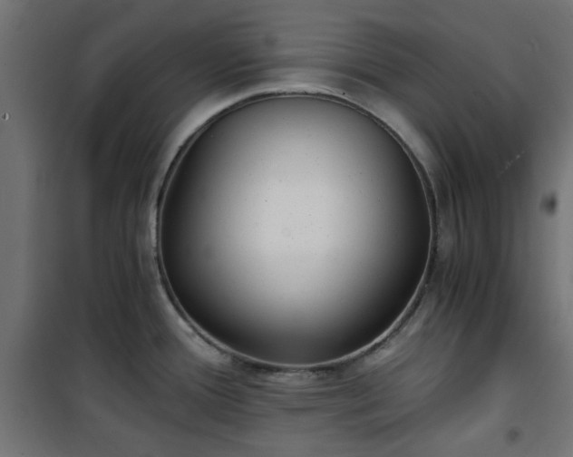 X0000101441388200807141256