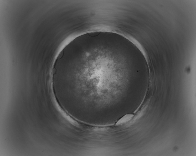 X0000101441389200807141256