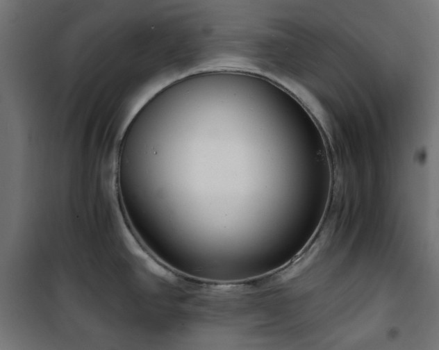 X0000101441390200807141256