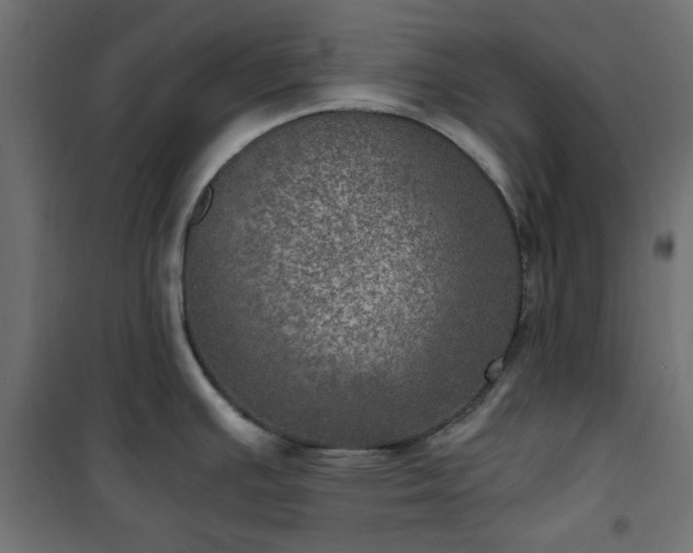 X0000101441391200807141256