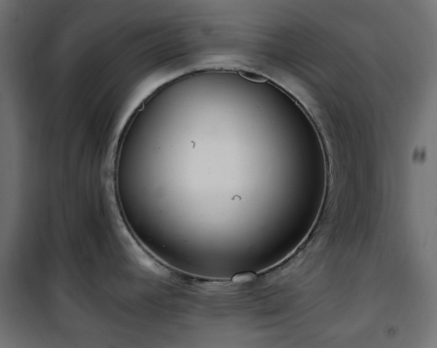 X0000101441392200807141255