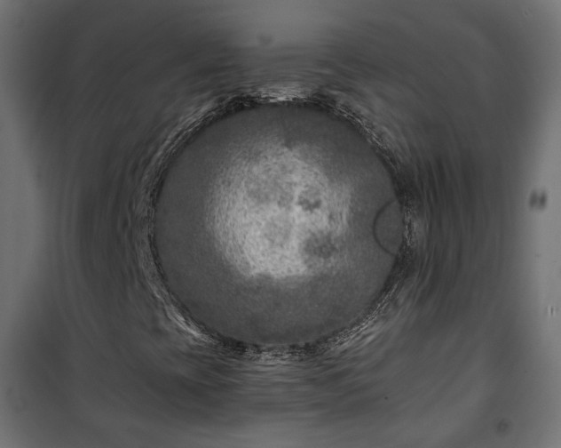 X0000101441393200807141255