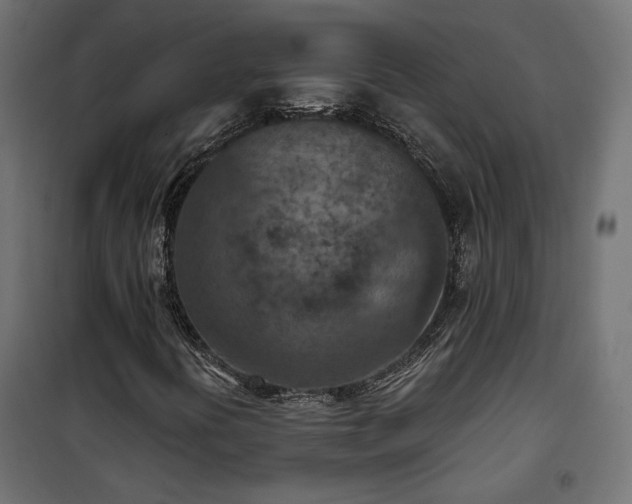 X0000101441394200807141255