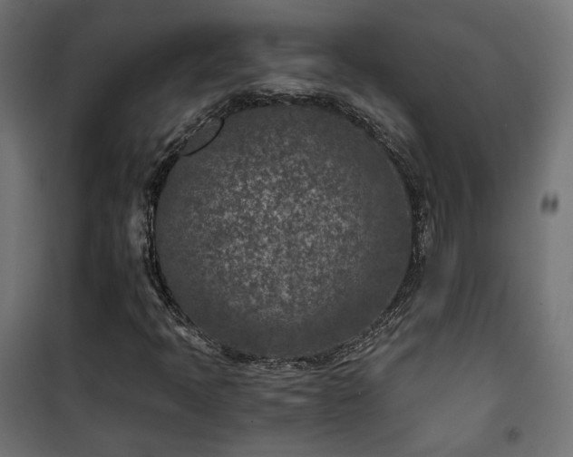 X0000101441397200807141255