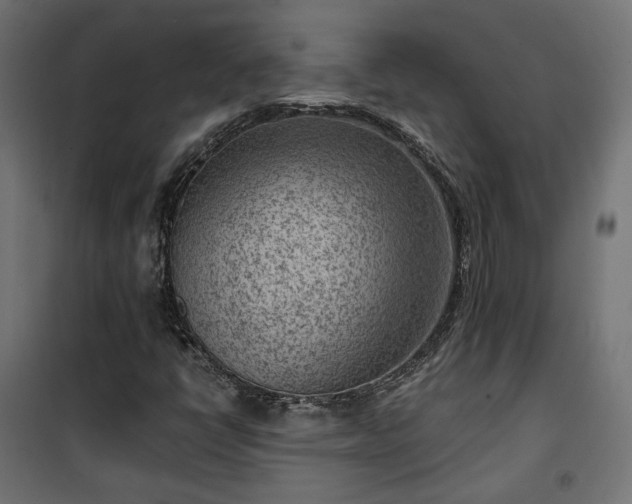 X0000101441398200807141255