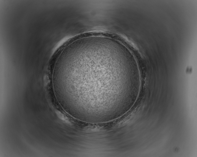 X0000101441400200807141255