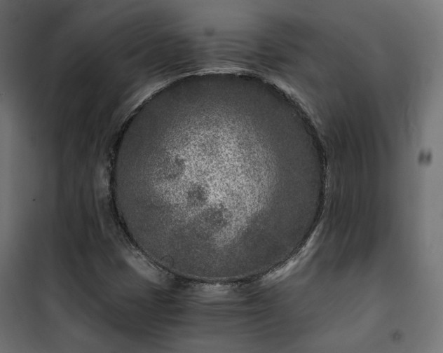 X0000101441401200807141255