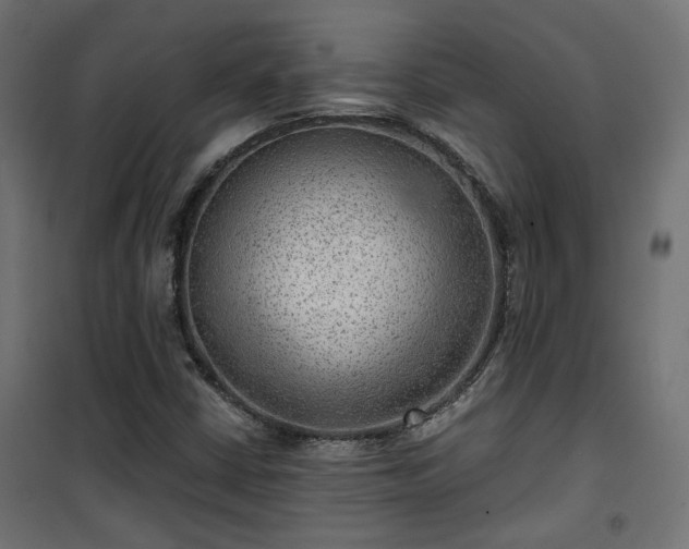 X0000101441402200807141255