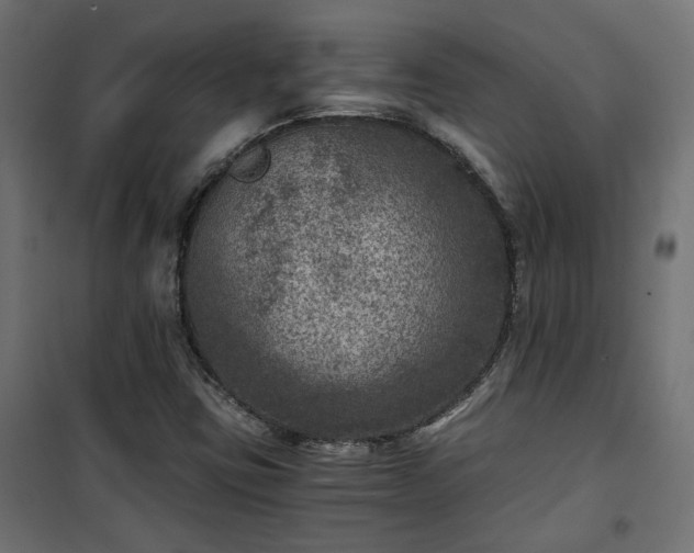 X0000101441403200807141255