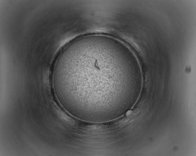 X0000101441404200807141255