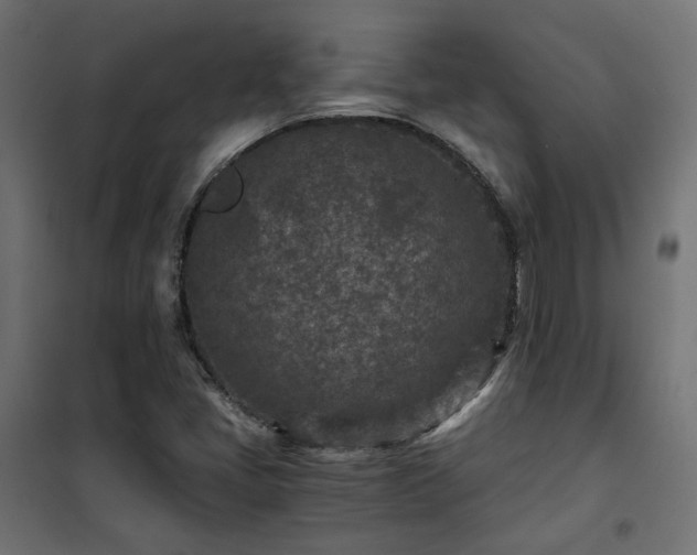 X0000101441405200807141255