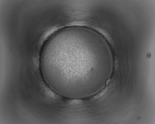 X0000101441406200807141255