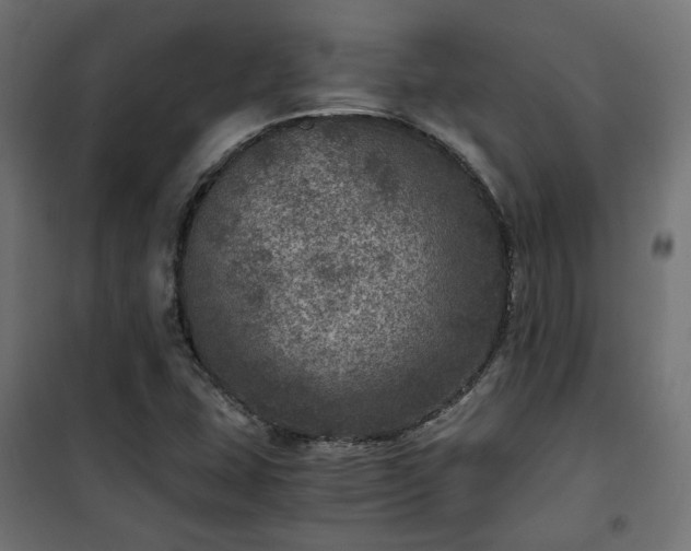 X0000101441407200807141255