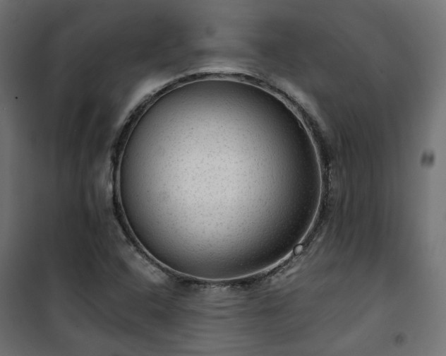 X0000101441408200807141255