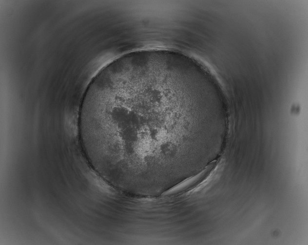 X0000101441409200807141255