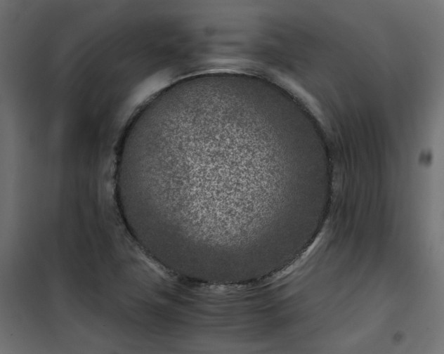 X0000101441411200807141255