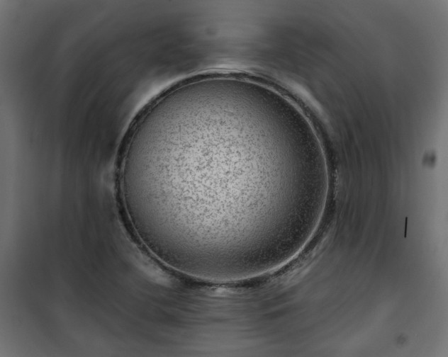 X0000101441412200807141255