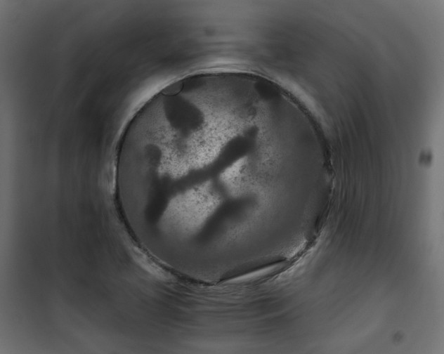 X0000101441413200807141255