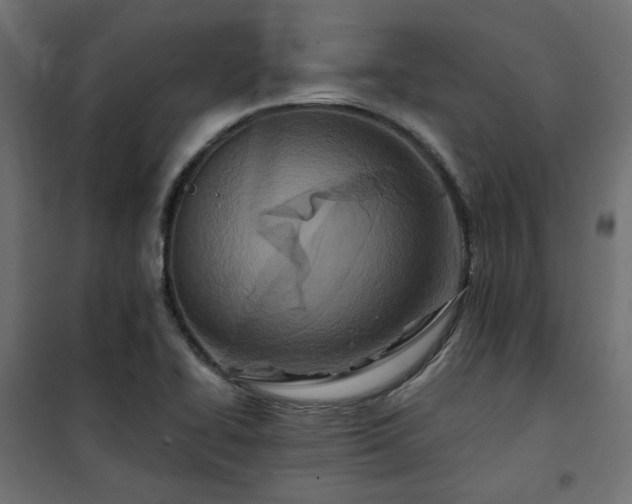 X0000101441414200807141255