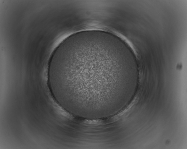 X0000101441415200807141255