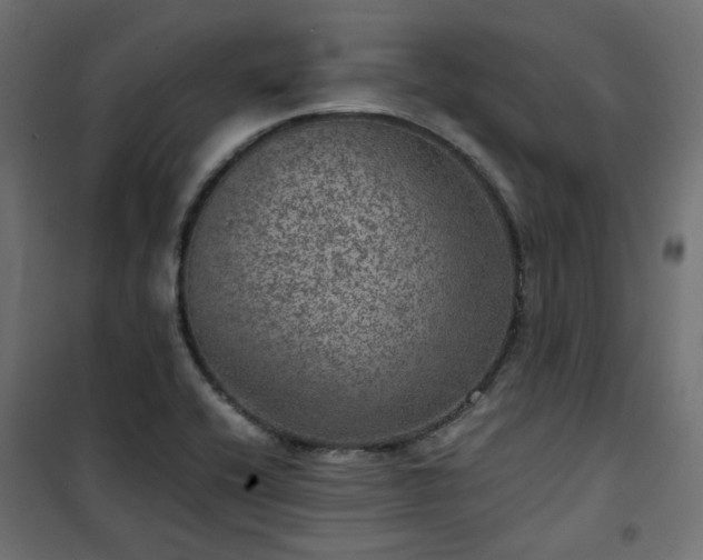 X0000101441416200807141255