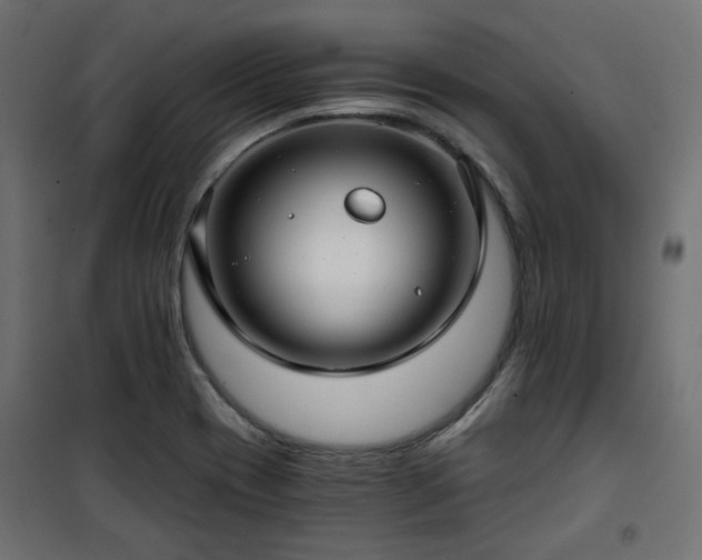 X0000101441417200807141255