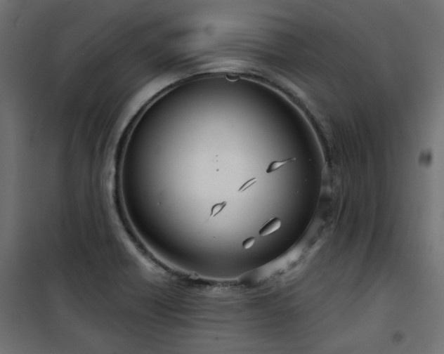 X0000101441418200807141255