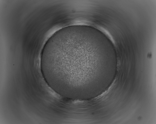 X0000101441419200807141255