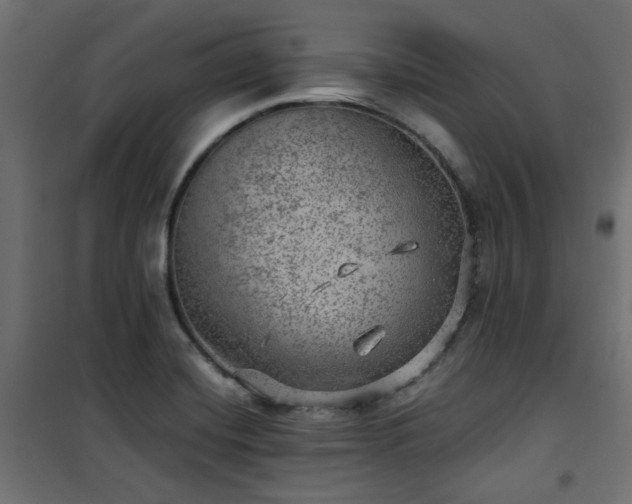 X0000101441420200807141255