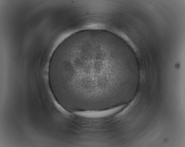 X0000101441421200807141255