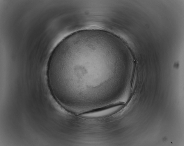 X0000101441422200807141255