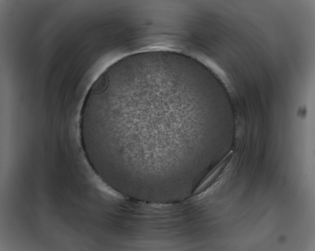 X0000101441423200807141255