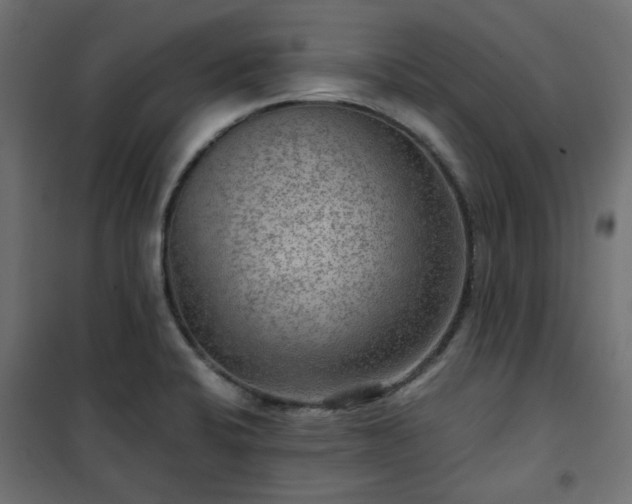 X0000101441424200807141255