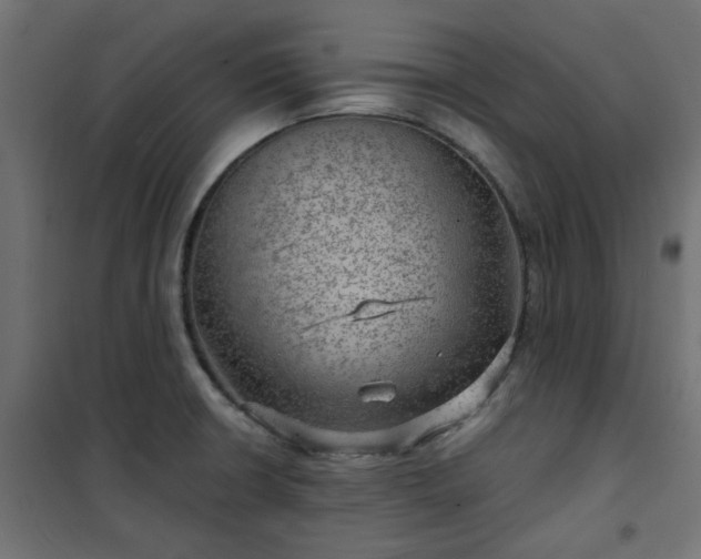 X0000101441426200807141255