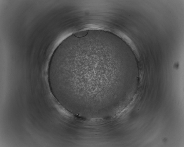 X0000101441427200807141255