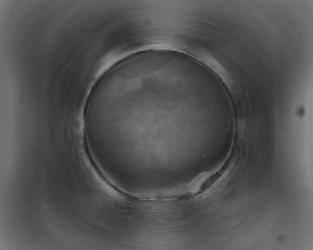 X0000101441428200807141255