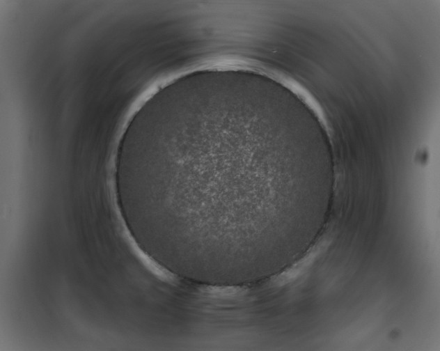 X0000101441429200807141255