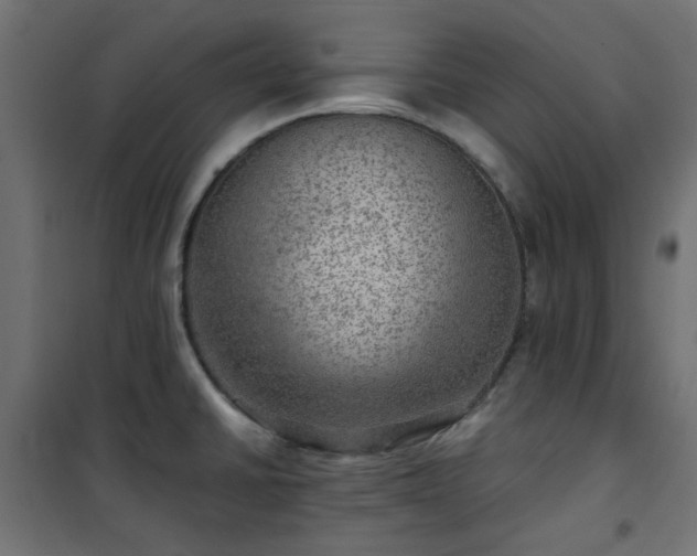 X0000101441430200807141255